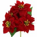 Floristik24 Bouquet de poinsétias veludo vermelho 35cm