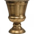 Floristik24 Vaso cálice dourado olhar decoração antiga metal Ø14cm H18.5cm