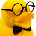 Floristik24 Figura decorativa pato com óculos amarelos, decoração engraçada de verão, pato decorativo reunido