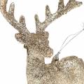 Floristik24 Decorações para árvores de Natal rena champanhe glitter 15 cm 6 unidades