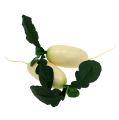 Floristik24 Rabanete branco com folhas 12cm 3pcs