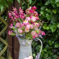 Floristik24 Rhodanthe rosa-rosa, flores de seda, planta artificial, buquê de flores de palha L46cm