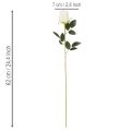 Rosa artificial de haste longa para vaso, 62 cm, pacote com 12 unidades. | Floristik24.pt