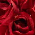 Rosa artificial com haste longa, flor artificial vermelha, 62 cm, 12 peças | Floristik24.pt