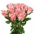 Floristik24 Rosa rosa velha 42cm 12p