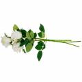 Floristik24 Rosa branca em uma haste flor de seda rosa artificial 3 peças