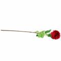Floristik24 Rosa flor artificial vermelha 72cm