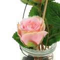Floristik24 Rosa em um vidro rosa H23cm
