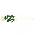 Floristik24 Flor de seda, rosa em caule, planta artificial branco cremoso, rosa L72cm Ø13cm