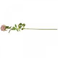 Floristik24 Rosa Deco, decoração de flores, rosa artificial L74cm Ø7cm