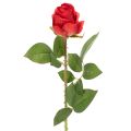 Floristik24 Ramo de rosa artificial de seda, rosa vermelha, 72 cm, 3 peças