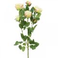Floristik24 Ramo de rosa, rosas de seda, ramo artificial rosa, creme L66cm Ø3/5cm