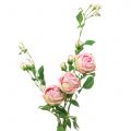 Floristik24 Ramo rosa rosa 100 cm