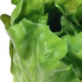 Floristik24 Chupetas decorativas para salada com cabeça de alface verde 14cm
