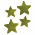 Floristik24 Estrelas de decoração espalhadas flocadas verde musgo 4cm/5cm 40p