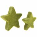 Floristik24 Estrelas de decoração espalhadas flocadas verde musgo 4cm/5cm 40p
