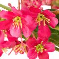 Ramo artificial florido de orquídea Oncidium, 112 cm, 3 peças | Floristik24.pt