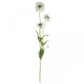 Floristik24 Flor artificial escabiosa flor de jardim branca H64cm monte com 3 peças
