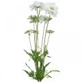 Floristik24 Flor artificial escabiosa flor de jardim branca H64cm monte com 3 peças