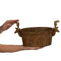 Tigela decorativa em formato de cabeça de rena, oval, cor ferrugem, estilo rústico, 41 cm | Floristik24.pt