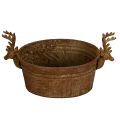 Tigela decorativa em formato de cabeça de rena, oval, cor ferrugem, estilo rústico, 41 cm | Floristik24.pt