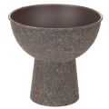 Floristik24 Vaso redondo para plantas com base, 18 cm