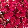 Guirlanda de flores artificiais, decoração com gipsofila, 30 cm | Floristik24.pt