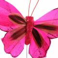 Floristik24 Borboleta de penas com fio 7cm rosa roxo 24pcs