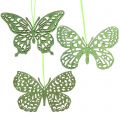 Floristik24 Decoração hanger borboleta verde glitter 8cm 12pcs