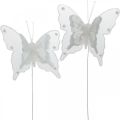 Floristik24 Borboletas com pérolas e mica, decorações de casamento, borboletas de penas em fios brancos