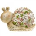 Floristik24 Caracol com decoração de flores, animal de jardim, caracol decorativo, decoração de verão marrom/rosa/verde H13.5cm L19cm