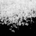 Floristik24 Neve artificial branco macio 50g