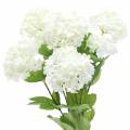 Floristik24 Snowball Viburnum Branch White 42,5cm