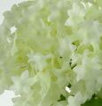 Floristik24 Bola de neve, flores de seda brancas 47cm