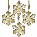 Floristik24 Floco de neve madeira de mangueira natural, cristal de neve dourado Ø10cm 6uds