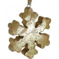 Floristik24 Floco de neve madeira de mangueira natural, cristal de neve dourado Ø10cm 6uds