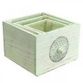 Floristik24 Gaveta decorativa caixa de plantas verde gasto 15-23 cm conjunto de 3