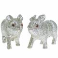 Floristik24 Pig decorativo glitter prata 10cm 8pcs