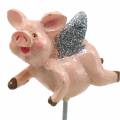 Floristik24 Amuleto da sorte de porco de plugue decorativo 6pcs