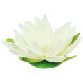 Floristik24 Nenúfar Flor Artificial Decoração de Mesa Flutuante Creme Branco Ø15cm