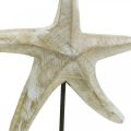 Floristik24 Estrela do mar para colocar, decoração em madeira marítima cor natural, branco H23,5cm