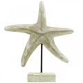 Floristik24 Estrela do mar para colocar, decoração em madeira marítima cor natural, branco H23,5cm