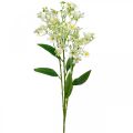 Floristik24 Explosão de seda artificial, decoração de flores, flor de seda, decoração de flores brancas L72cm