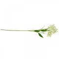 Floristik24 Explosão de seda artificial, decoração de flores, flor de seda, decoração de flores brancas L72cm