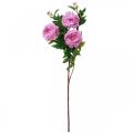 Floristik24 Flor de seda peônia artificial rosa violeta 135cm