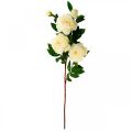 Floristik24 Flor de seda peônia artificial creme branco 135cm