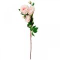 Floristik24 Flor de seda peônia artificial rosa claro, branco 135 cm