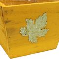 Floristik24 Caixa de plantas madeira shabby chic caixa de madeira amarela 11×14,5×14cm