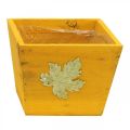 Floristik24 Caixa de plantas madeira shabby chic caixa de madeira amarela 11×14,5×14cm