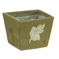 Floristik24 Caixa de plantas de madeira shabby chic caixa de madeira verde 11×14,5×14cm
